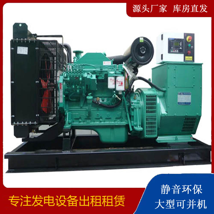 洛扎出租发电机 柴油发电机不维护对机器有什么影响